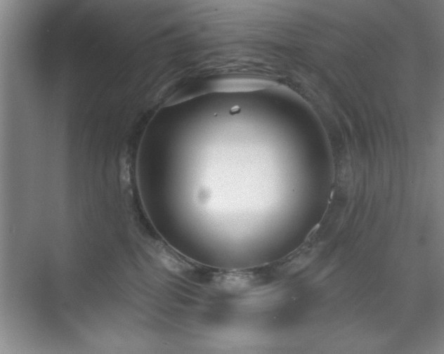 X0000073830282200608101211