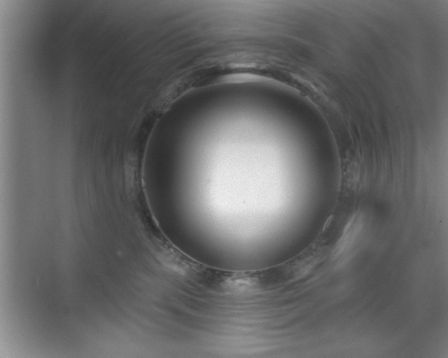 X0000073830283200608101211