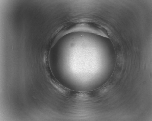 X0000073830284200608101211