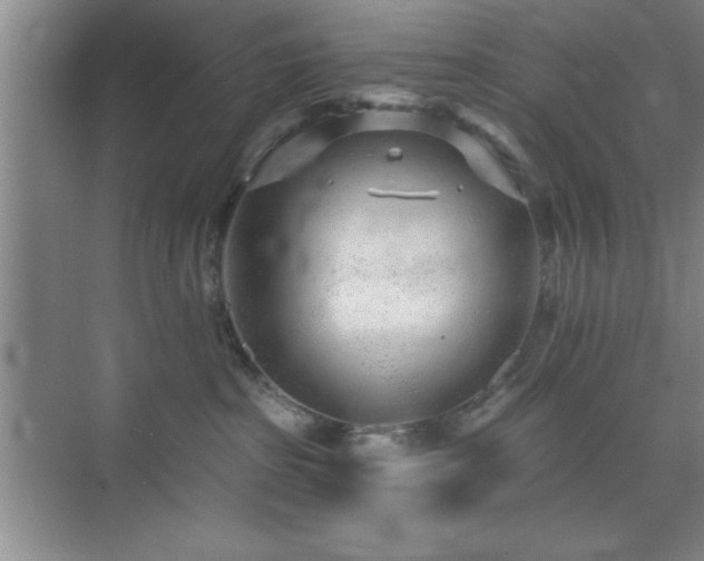 X0000073830285200608101211