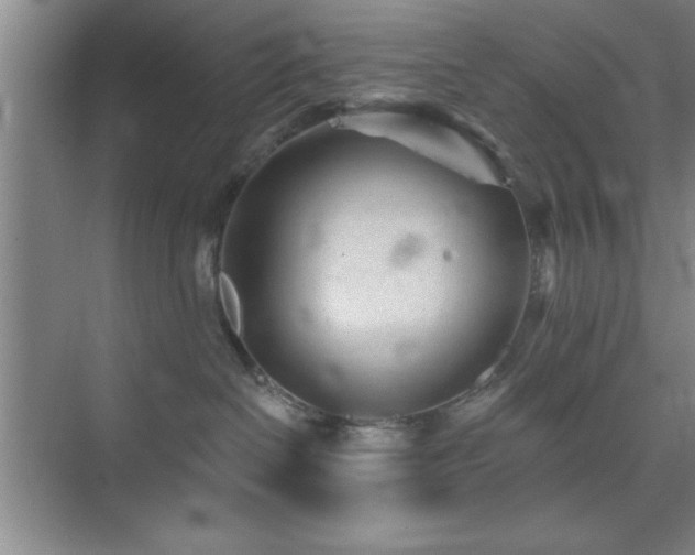 X0000073830286200608101211