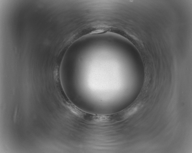 X0000073830288200608101211