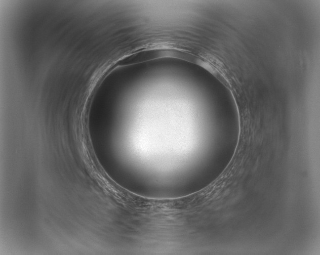 X0000073830289200608101211