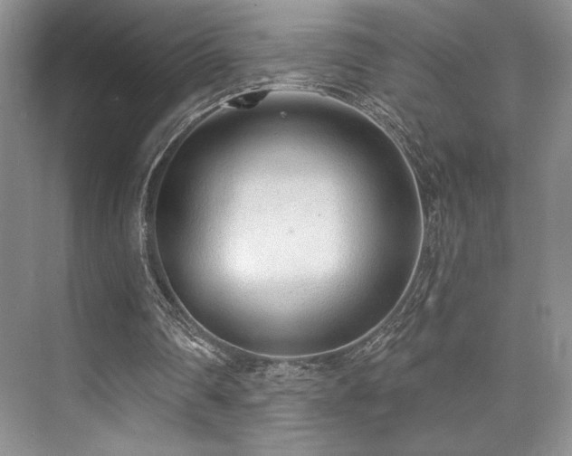 X0000073830290200608101211