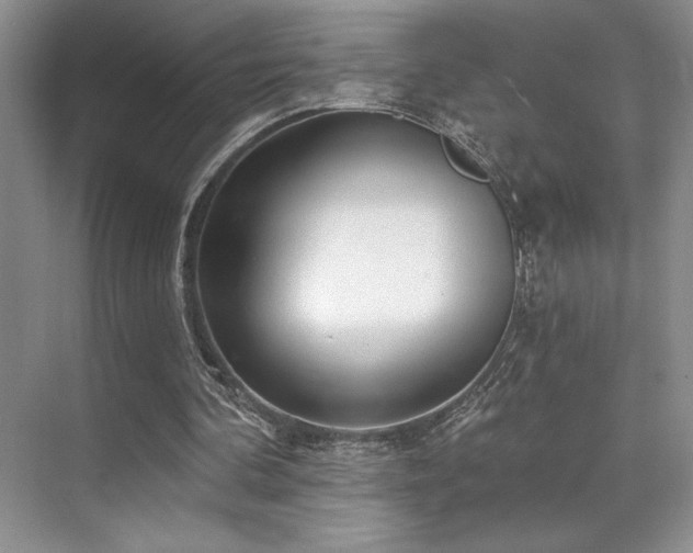 X0000073830292200608101210