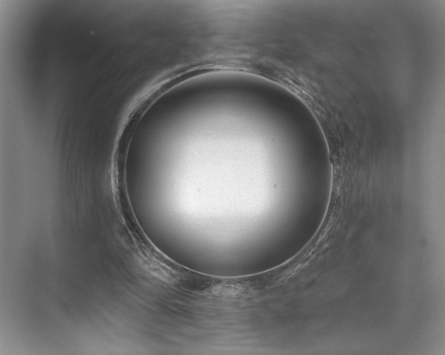 X0000073830294200608101210