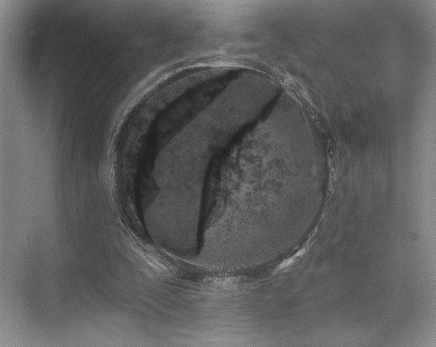 X0000073830295200608101210