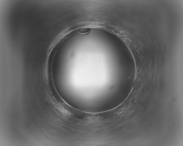 X0000073830296200608101210