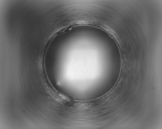 X0000073830297200608101210