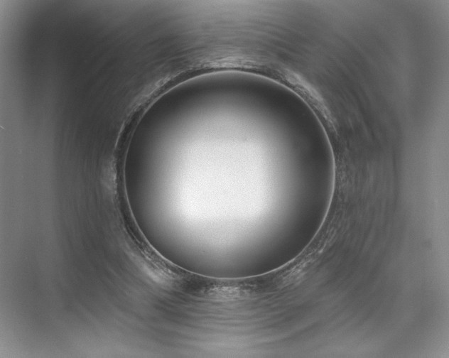 X0000073830298200608101210