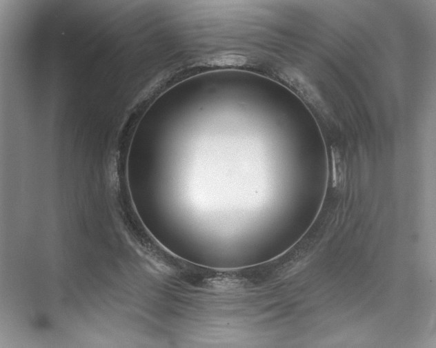 X0000073830300200608101210