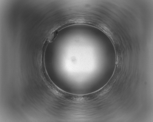 X0000073830301200608101210