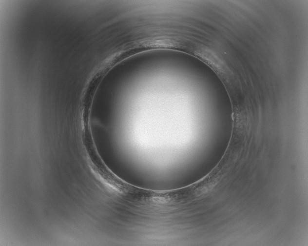 X0000073830302200608101210