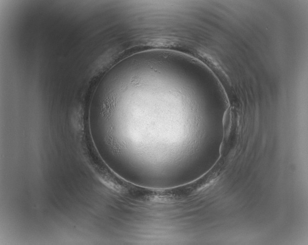 X0000073830303200608101210