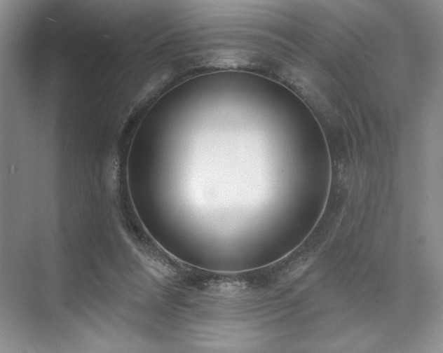 X0000073830304200608101210