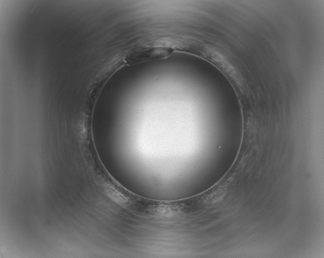 X0000073830305200608101210