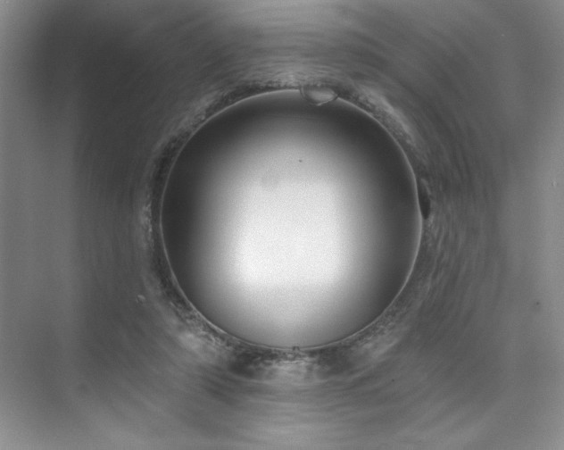 X0000073830306200608101210