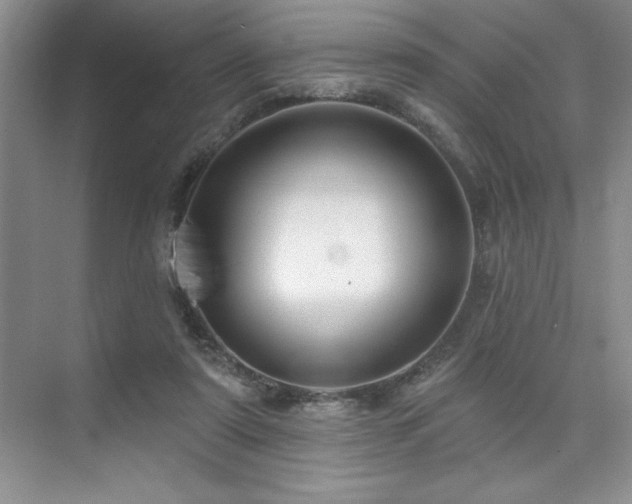 X0000073830307200608101210