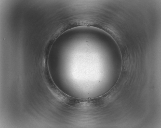 X0000073830310200608101210