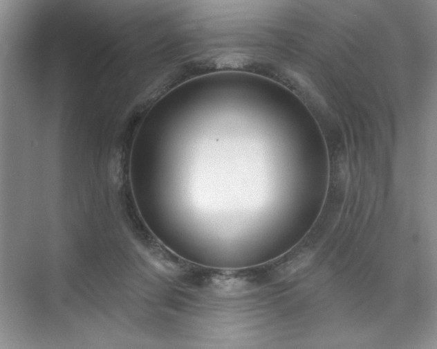 X0000073830311200608101210