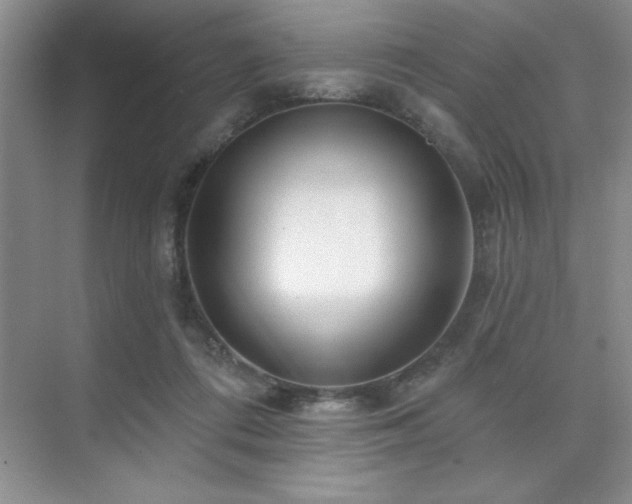 X0000073830312200608101210