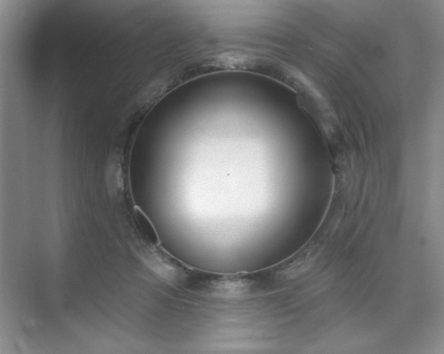 X0000073830313200608101210