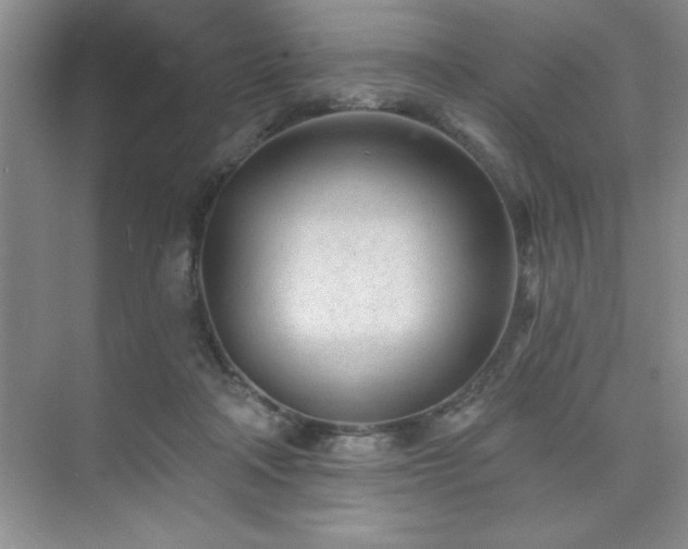 X0000073830314200608101210