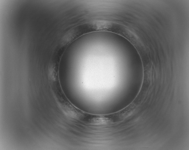 X0000073830316200608101210