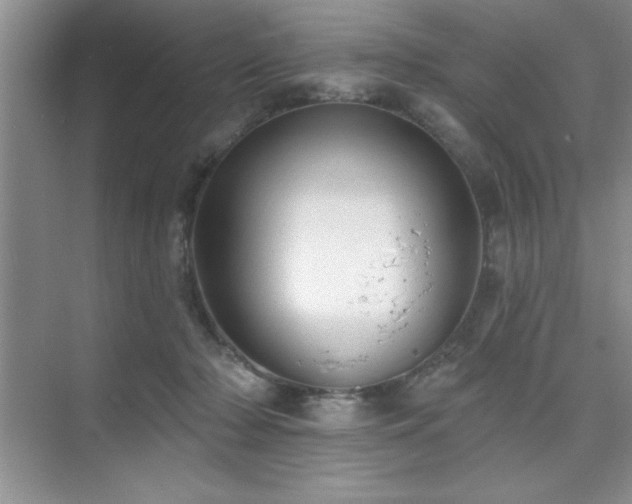 X0000073830318200608101210