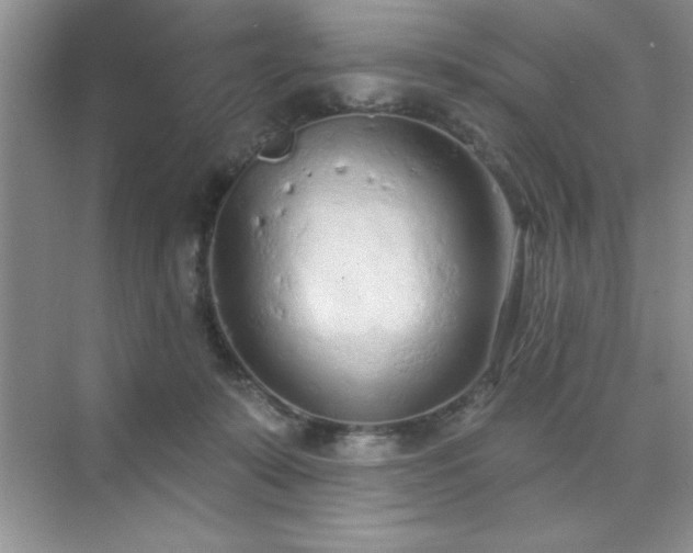 X0000073830319200608101210