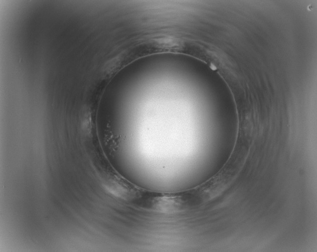 X0000073830320200608101210