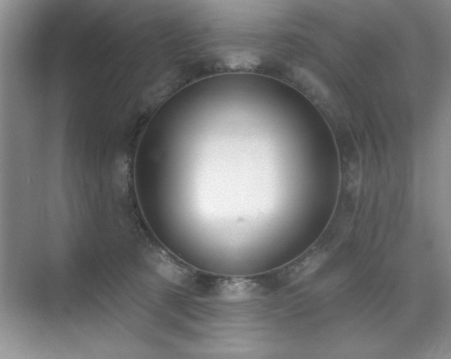 X0000073830321200608101210