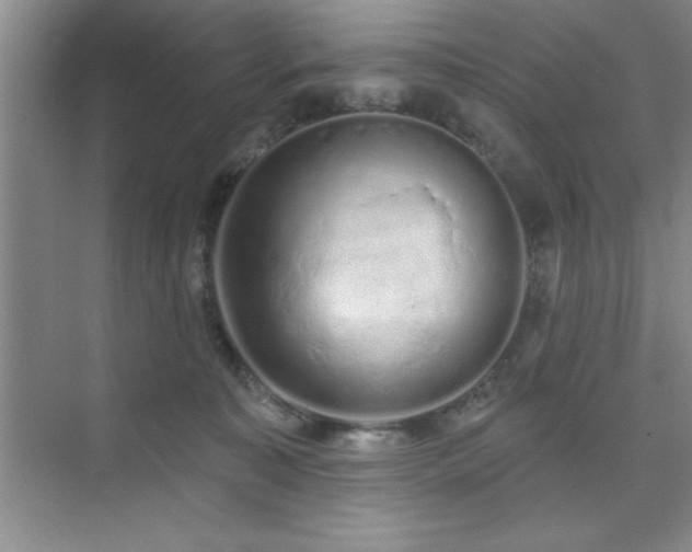 X0000073830323200608101210