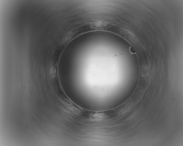 X0000073830324200608101210