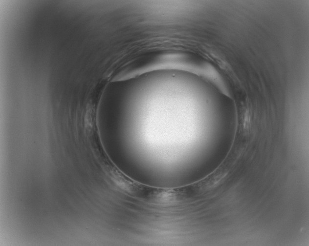 X0000073830325200608101210