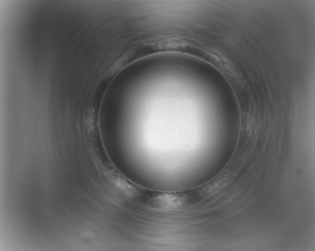 X0000073830326200608101210