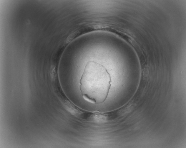 X0000073830327200608101210