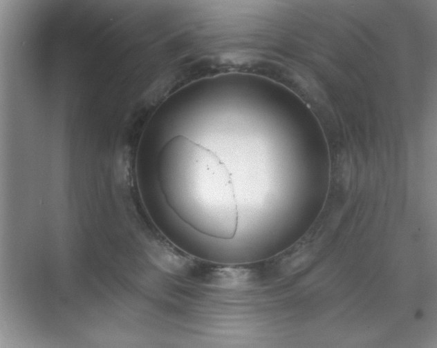 X0000073830328200608101210