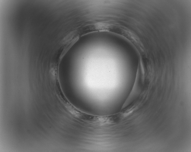 X0000073830329200608101210