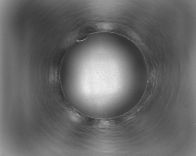 X0000073830330200608101210