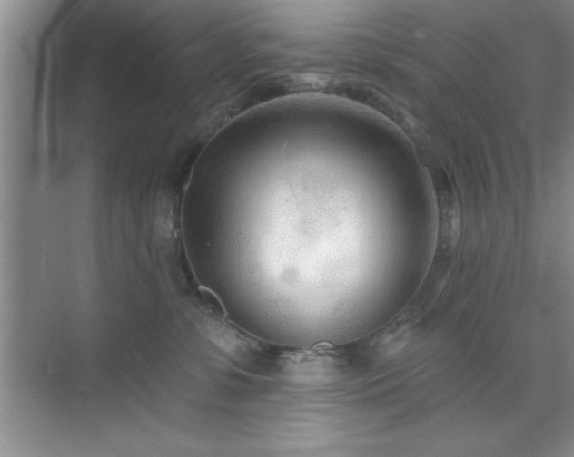 X0000073830331200608101210