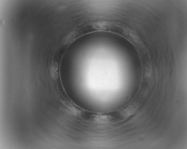 X0000073830332200608101210