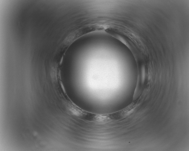 X0000073830333200608101210