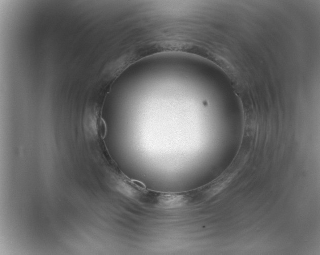 X0000073830334200608101210