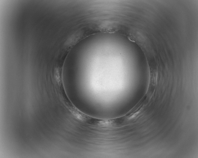 X0000073830335200608101210