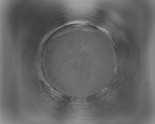 X0000073830337200608101209