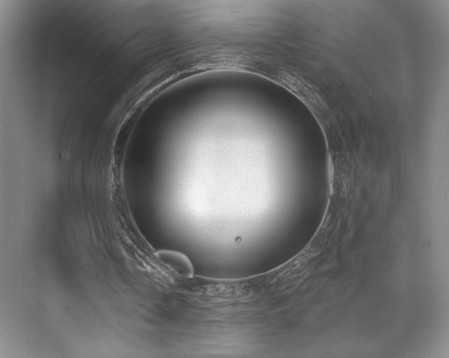 X0000073830338200608101209