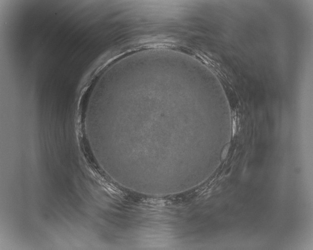 X0000073830339200608101209