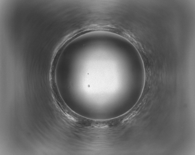 X0000073830340200608101209