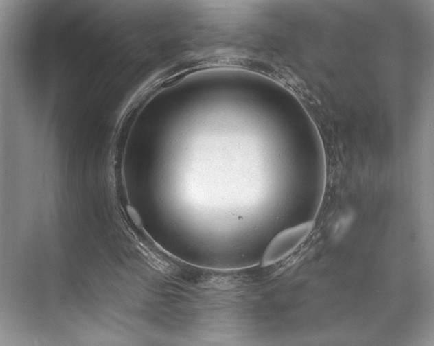 X0000073830341200608101209